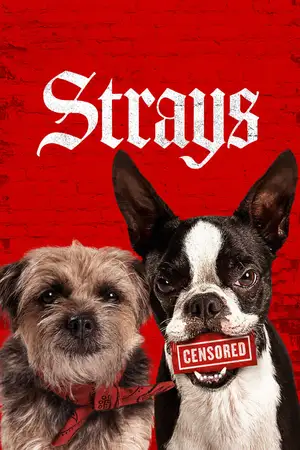 Download Strays (2023) BluRay [Hindi + English] 480p 720p