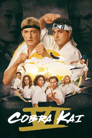 Download Cobra Kai (2025) Season 6 WebRip [Hindi + English] S06 ESub 480p 720p - Complete