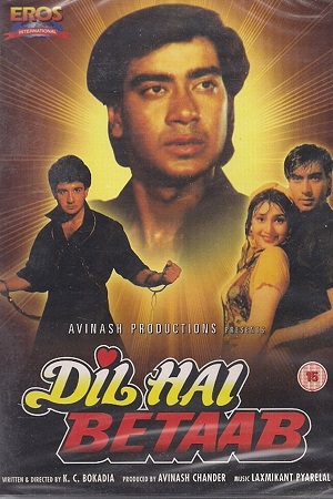 Download Dil Hai Betaab (1993) WebRip Hindi ESub 480p 720p