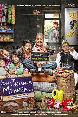 Download Saare Jahaan Se Mehnga (2013) WebRip Hindi ESub 480p 720p